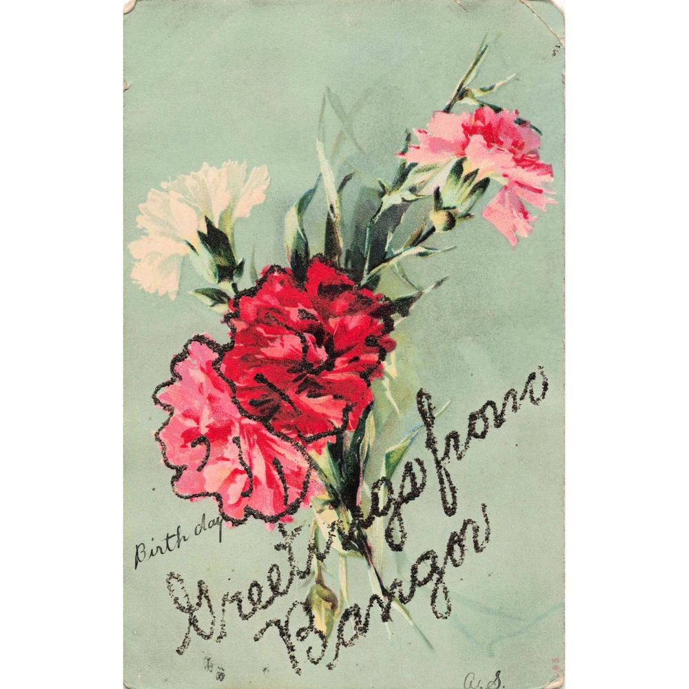 Birthday Greetings From Bangor PA Postcard Carnation Flowers Floral Glitter Vtg